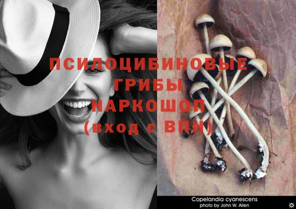 наркотики Гусев