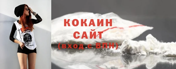 шишки Няндома