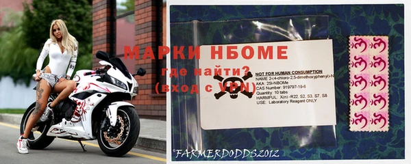 шишки Няндома
