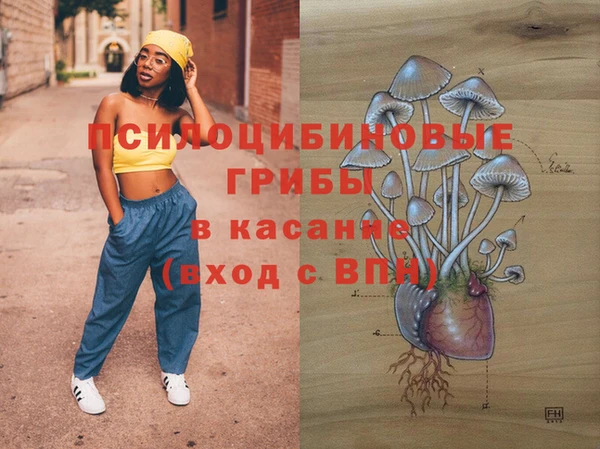 амф Остров