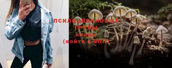 ешки Пересвет