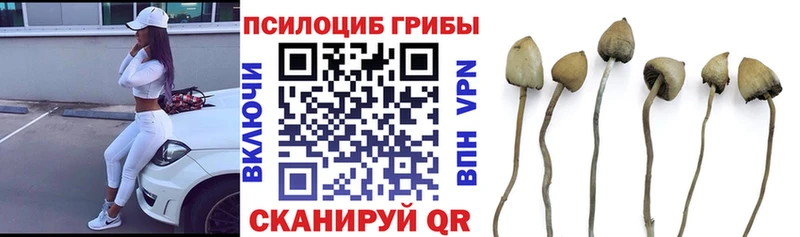Псилоцибиновые грибы ЛСД Певек