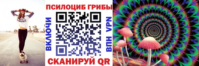 Галлюциногенные грибы Psilocybine cubensis Певек